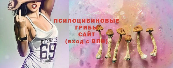 хмурый Арсеньев