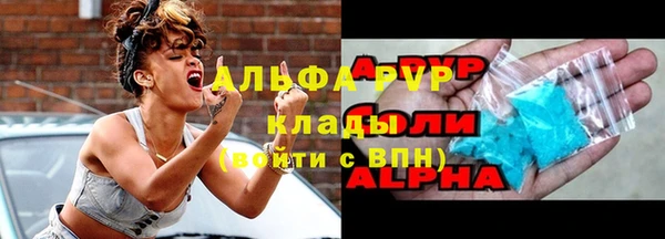 хмурый Арсеньев