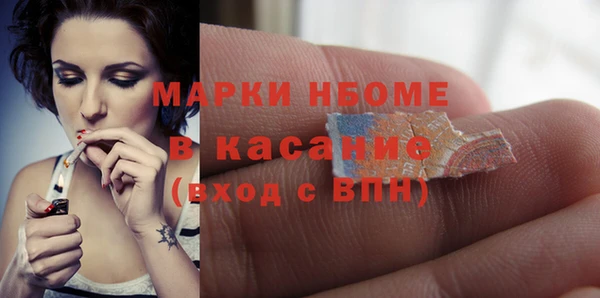 хмурый Арсеньев
