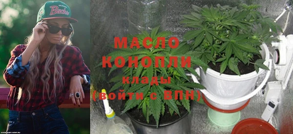 хмурый Арсеньев